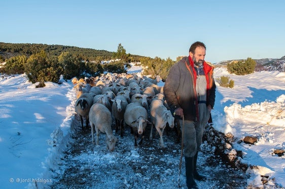 Antonio Miguel Álvaro, con sus ovejas.