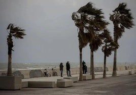 Fuertes rachas de viento en Valencia. Imagen de archivo.