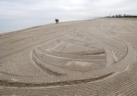 La playa de El Saler, con los trabajos de limpieza terminados.