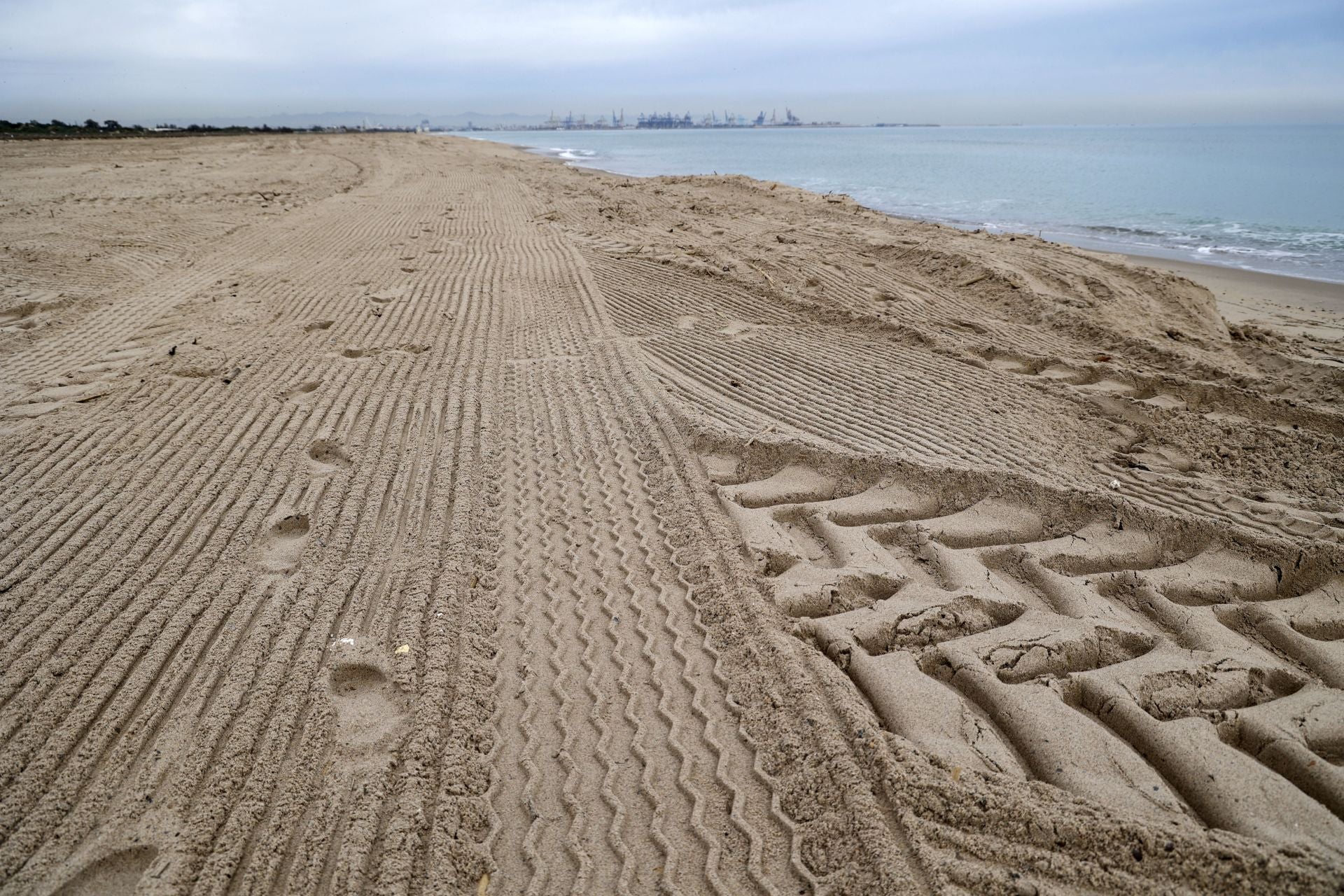 FOTOS | Las playas de Valencia, limpias de nuevo tras el paso de la dana