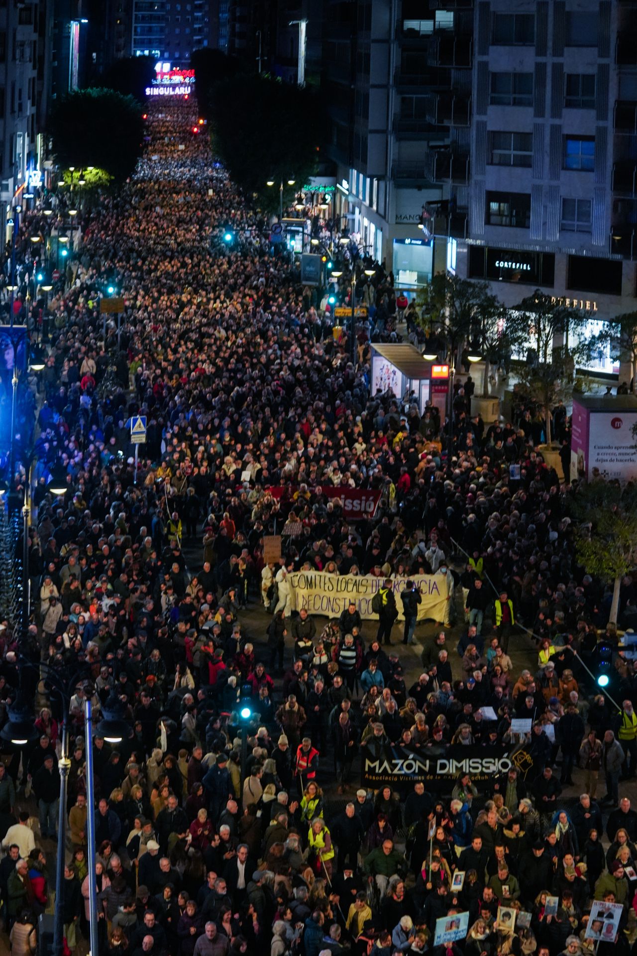 La manifestación en Valencia contra la gestión política de la dana, en imágenes