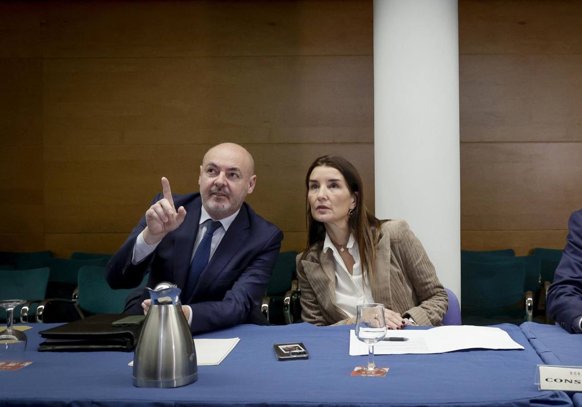 Ruth Merino, durante la última comisión mixta Consell-Corts por la financiación.