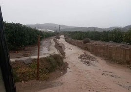 Así ha amanecido Casinos este martes tras las lluvias del lunes.