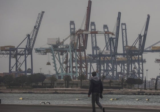 Grúas del puerto de Valencia.