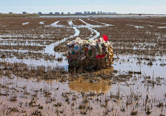 Estado en que quedó la Albufera tras el paso de la dana.