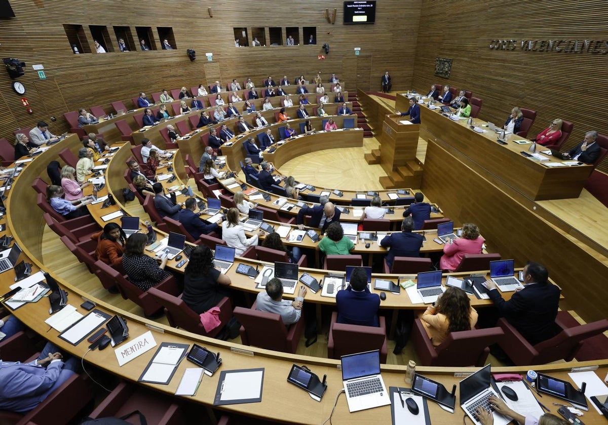 Pleno de Les Corts.