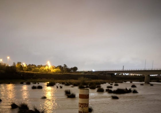 El río Palancia a su paso por Sagunto.