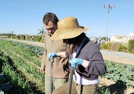 Los usuarios trabajando en el campo.