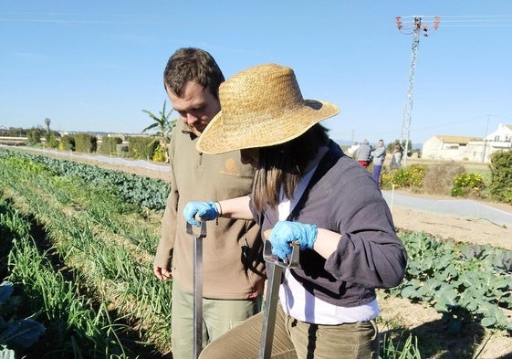 Los usuarios trabajando en el campo.