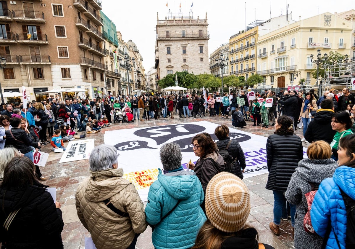 Protesta a favor del valenciano organizada en la capital.