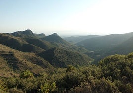 Vistas desde el Pico del Águila.