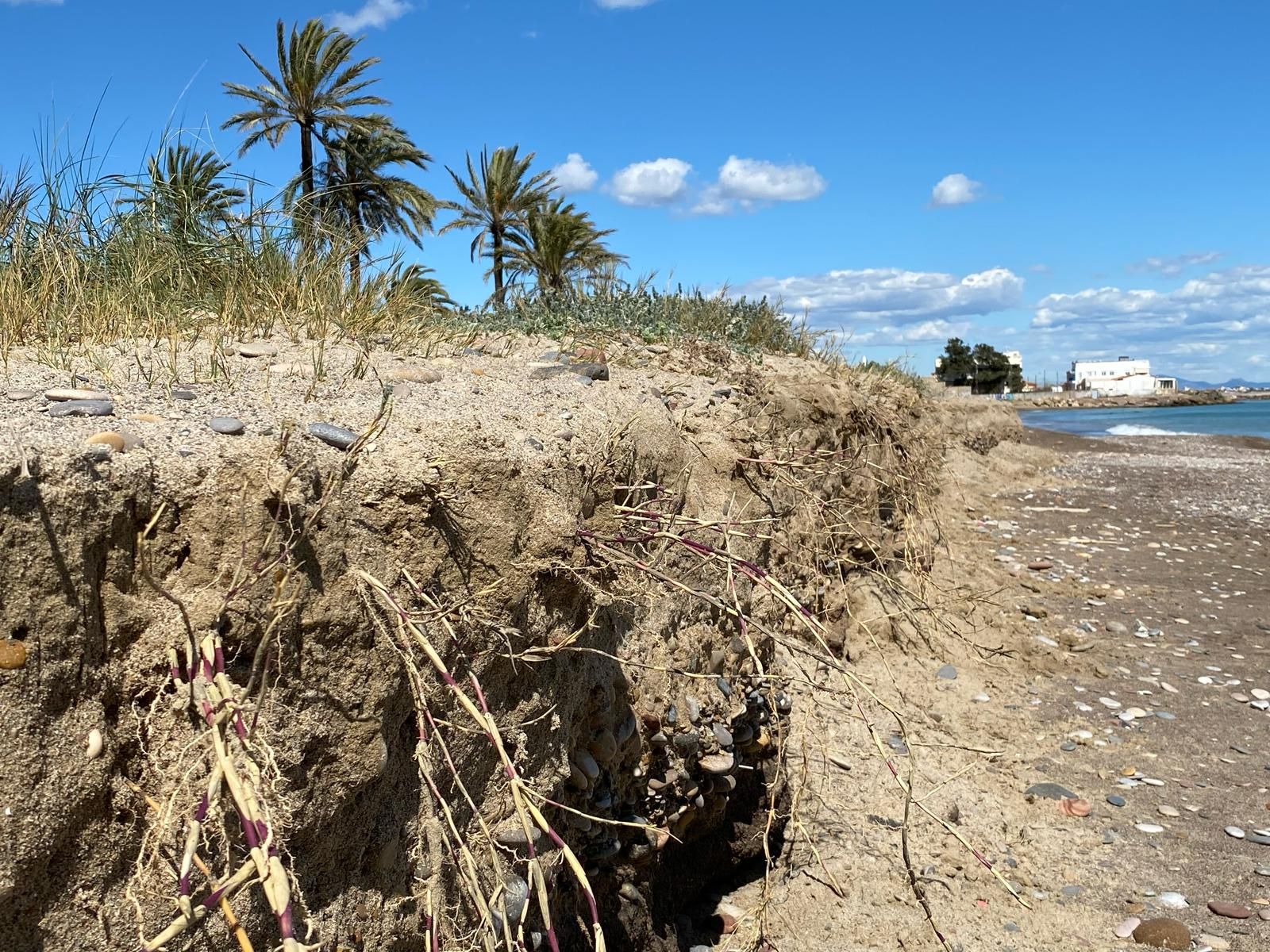 La plataforma cívica en defensa de las playas de Sagunto y Canet seguirá con las movilizaciones