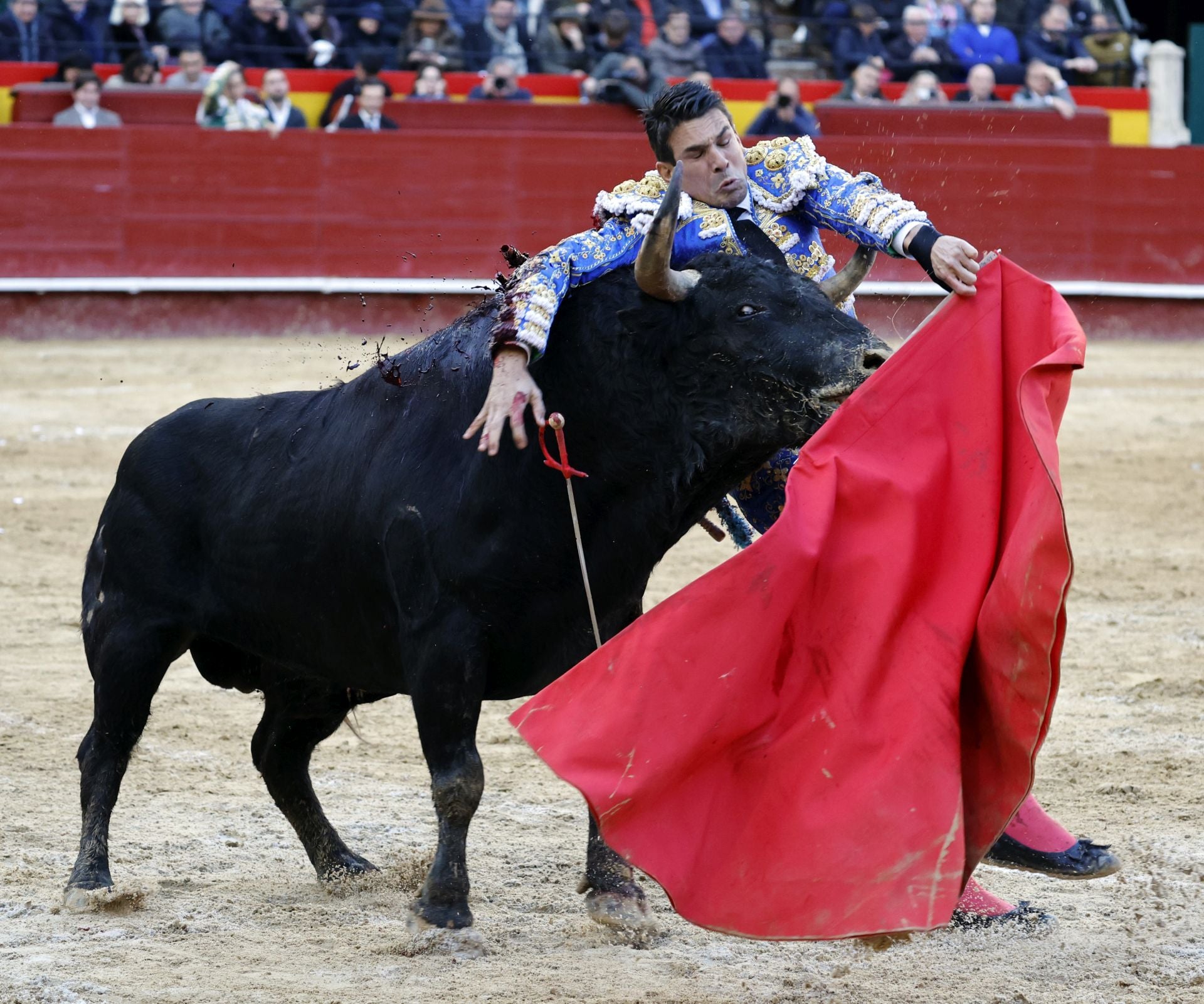 FOTOS | Así ha sido la tercera corrida de la Feria de Fallas 2025: Roca Rey, Manzanares y Tomás Rufo