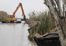 Una máquina trabaja en la Albufera, en una imagen de archivo.