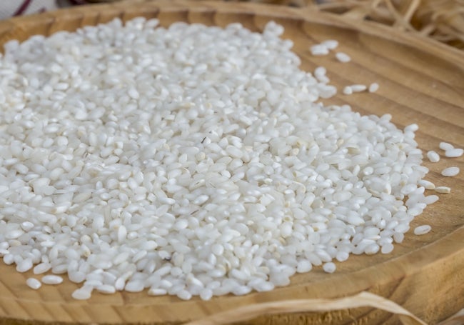 Arroz variedad albufera de Tartana.