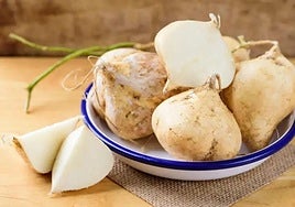 Esta raíz tiene múltiples propiedades.