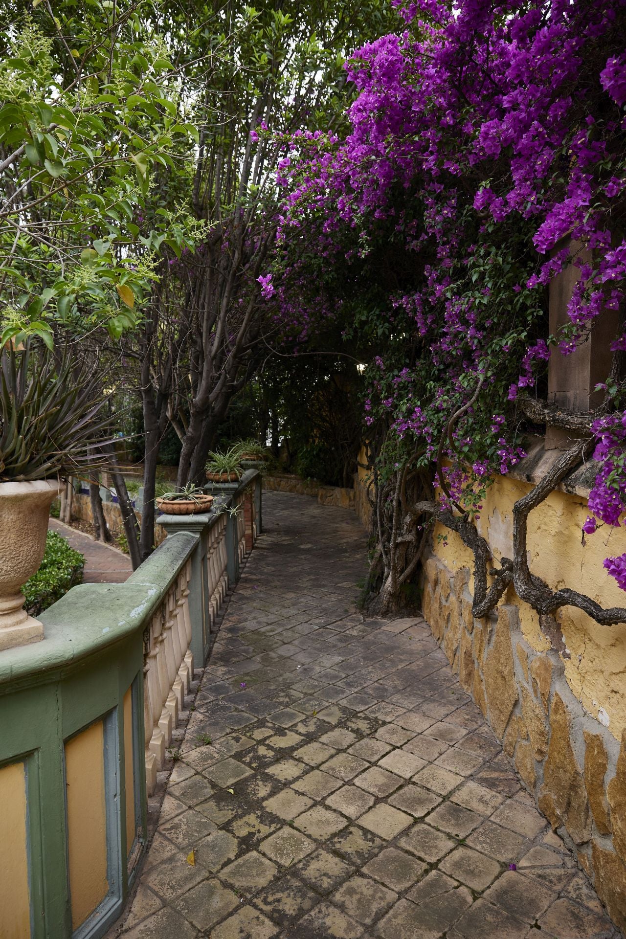 FOTOS | Así es por dentro Villa Amparo, el chalet okupado en Rocafort