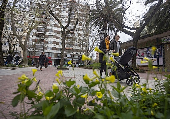 El polen de las plantas y árboles provoca alergias a los afectados.