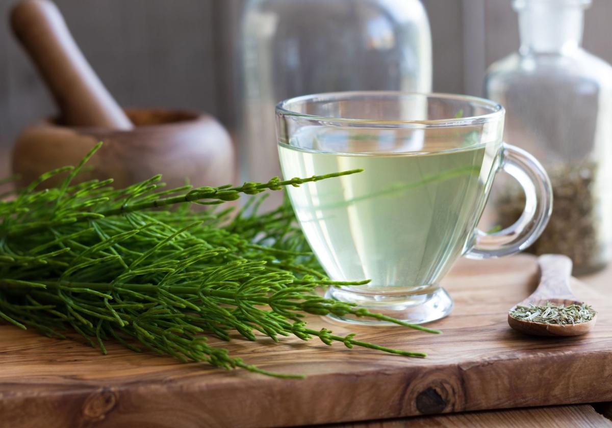 La infusión antioxidante que ayuda mejorar la ciruclación y fortalece tu cabello