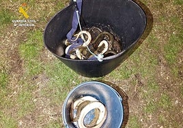 Ejemplares recuperados por la Guardia Civil.