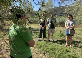 Los turistas rurales visitan las zonas agrícolas a modo de experiencia.