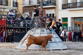 Bous al carrer celebrados en Cheste.