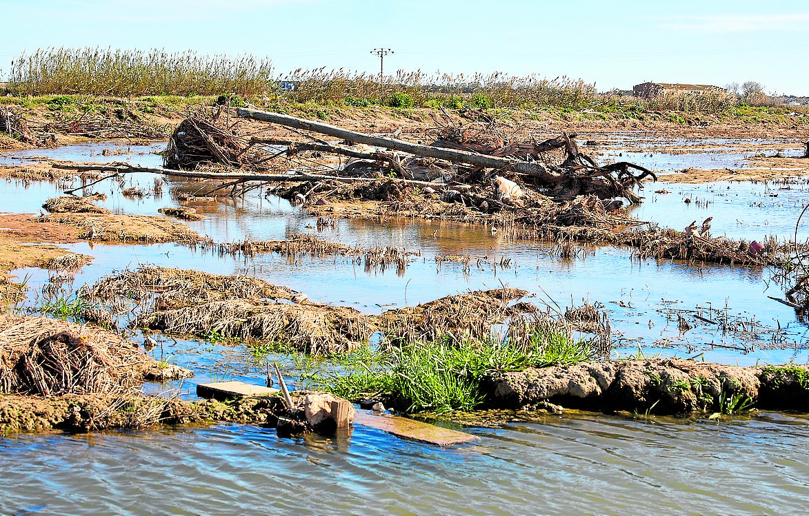 Estado en que quedó la Albufera tras la dana.