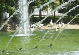 Varios patos, en el estanque de Viveros en una imagen de archivo.