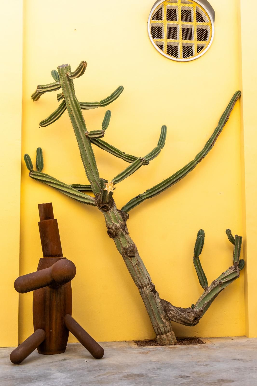 FOTOS | Así es el museo de Miquel Navarro