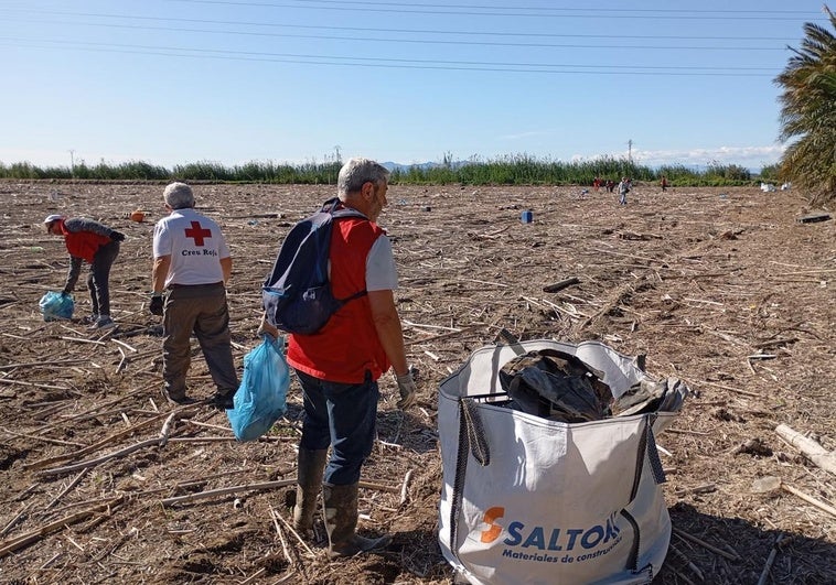 Tareas de limpieza en un arrozal de la Albufera este miércoles.