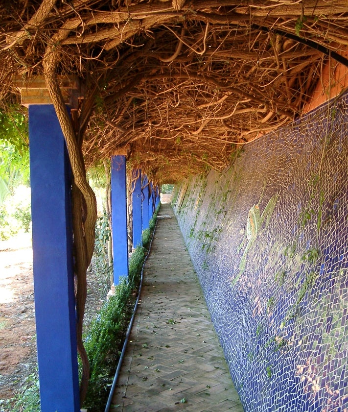 Imagen secundaria 2 - El paraíso a una hora de Valencia: un increíble jardín en Pedreguer