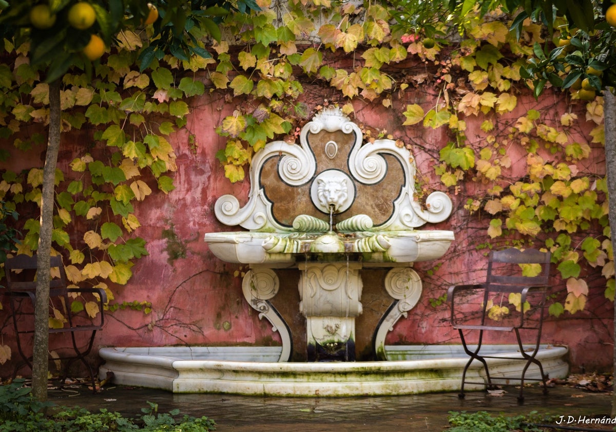 Imagen principal - El paraíso a una hora de Valencia: un increíble jardín en Pedreguer
