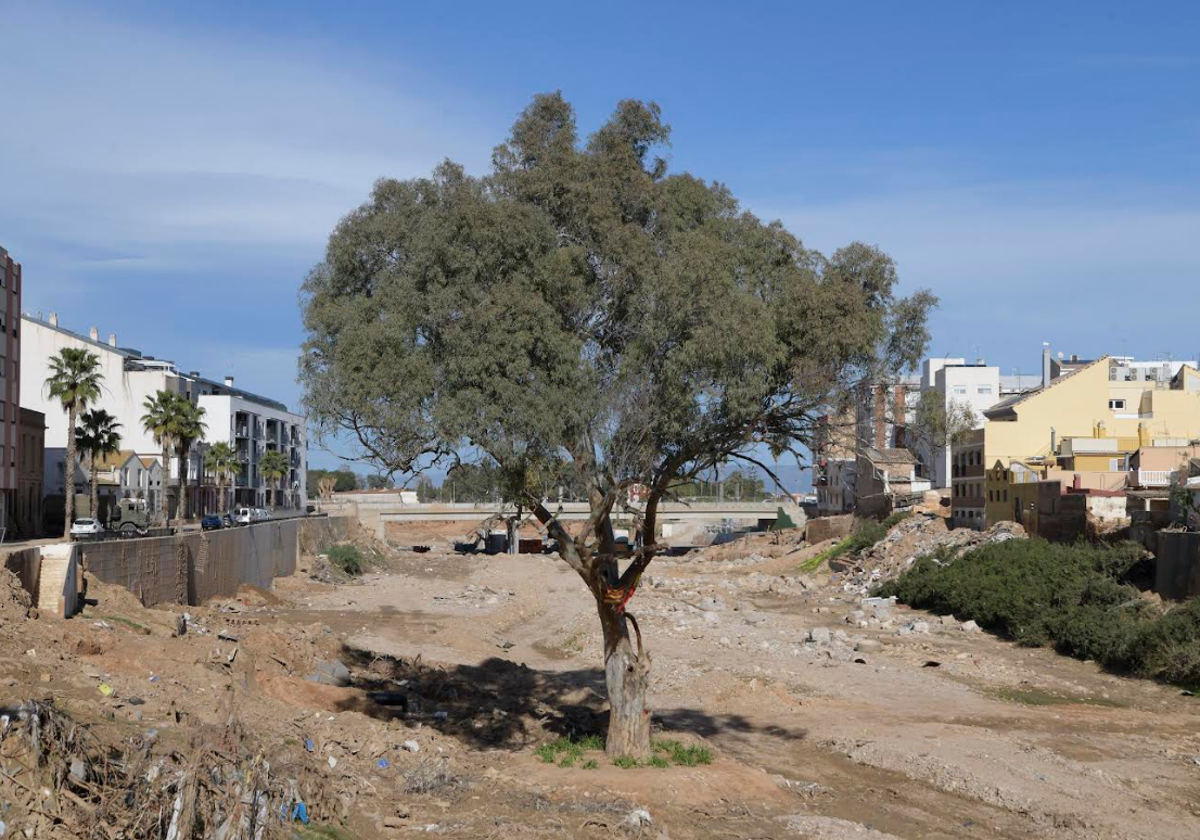 Paiporta convoca su primer encuentro ciudadano por la reconstrucción y regeneración del municipio