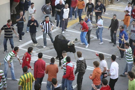 Bou en Corda de Ontinyent en una foto de archivo.