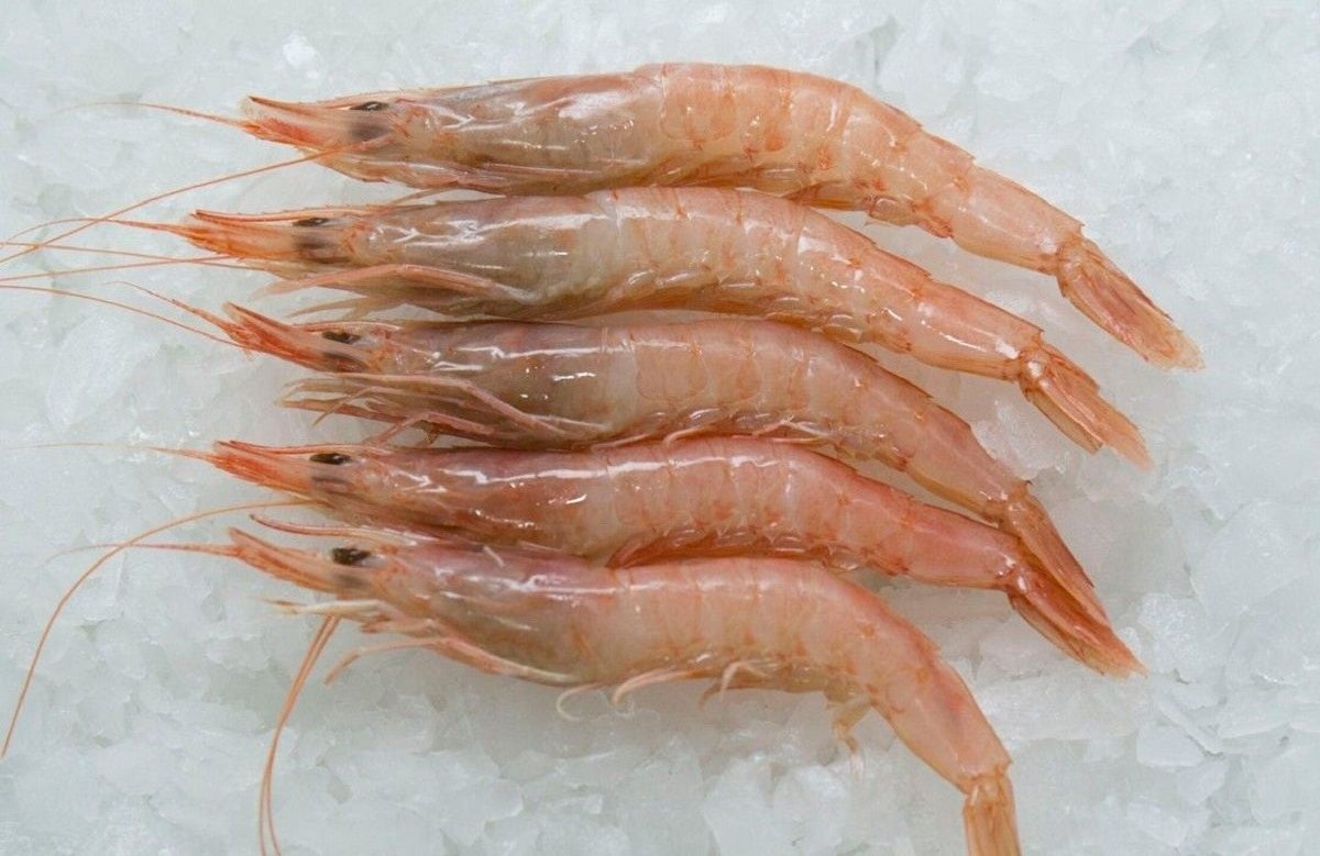 La villa del Penyal registra la marca 'Gamba Blanca de Calp'