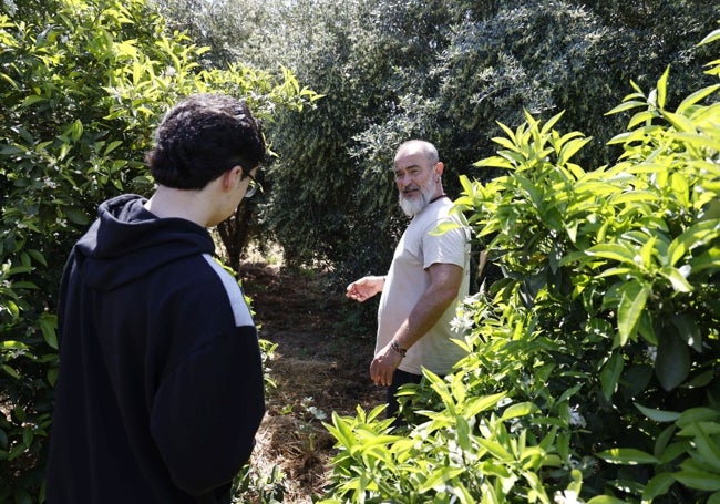 Olivos y árboles frutales ofrecen espacios de sombra a los usuarios.
