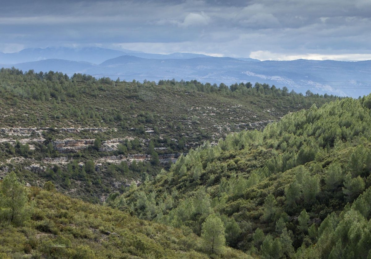 Los expertos prevén incendios forestales rápidos e intensos para este verano