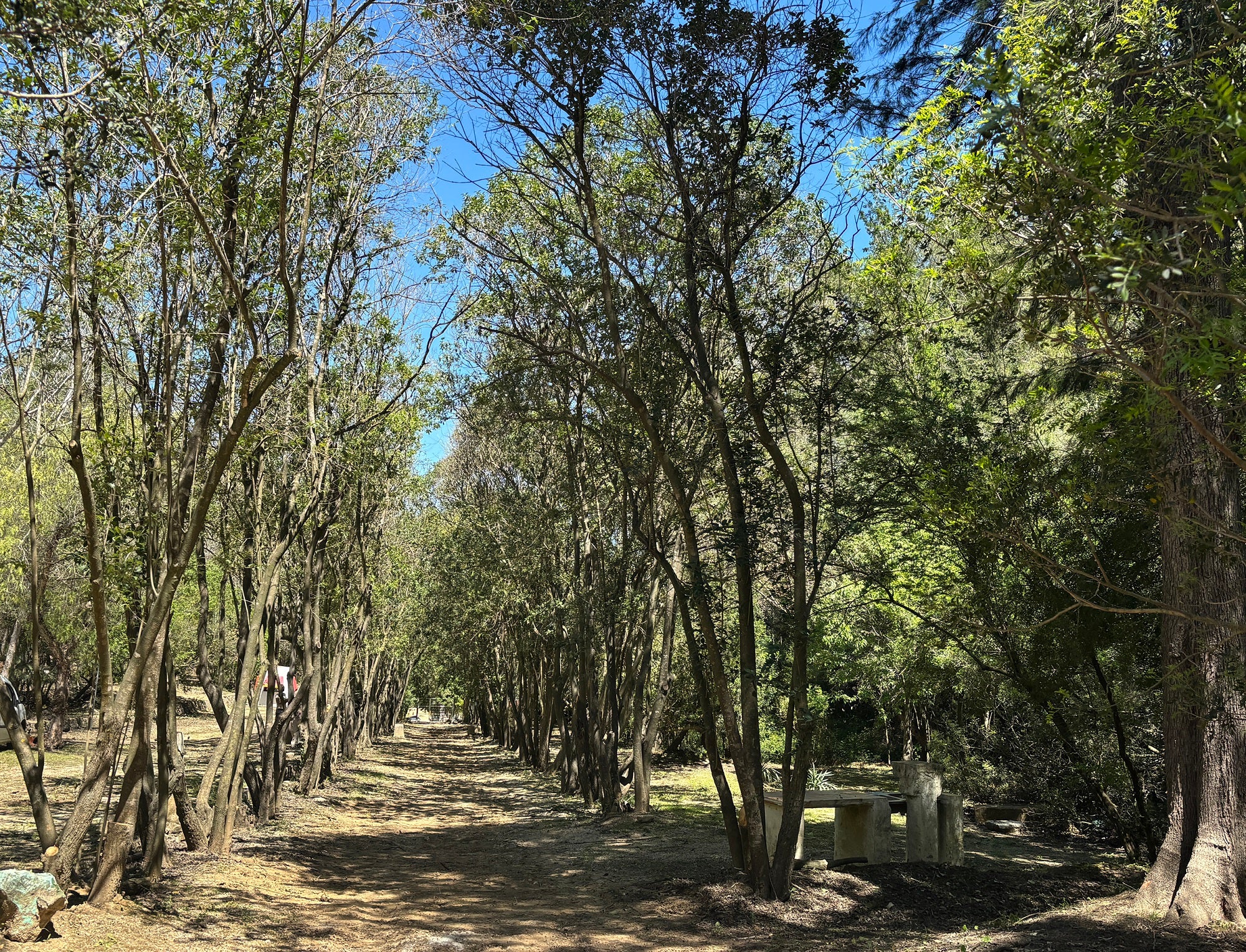 Zona de Els Banyos que ha limpiado el Ayuntamiento.