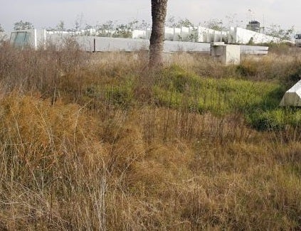 L'Alcúdia de Crespins insta a la limpieza de solares abandonados ante el riesgo de incendio