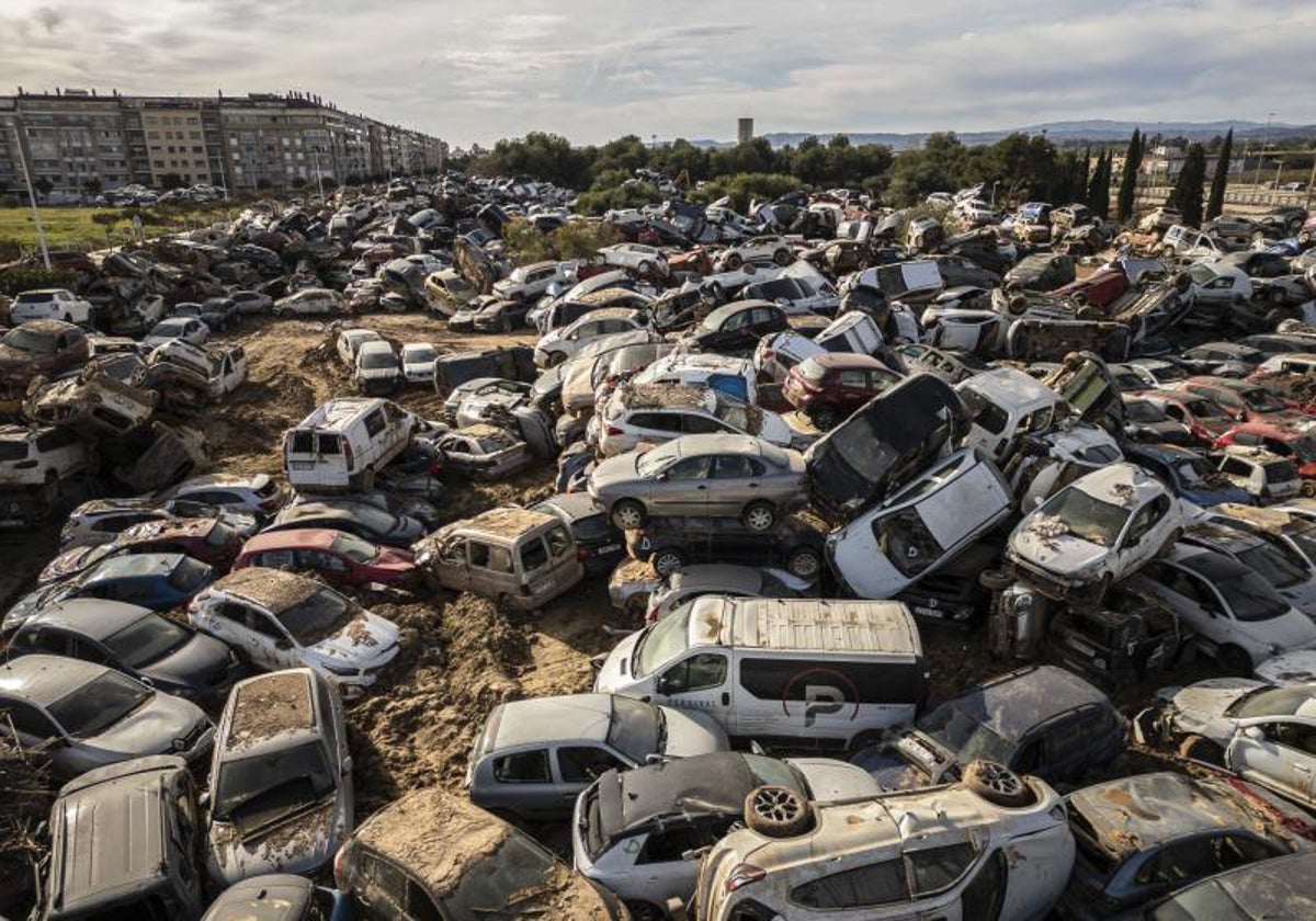 Desguace repleto de coches arrasados por la dana.