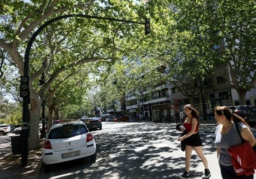 Valencia colapsa: caos en la conducción, tiendas vacías y restaurantes sin poder servir
