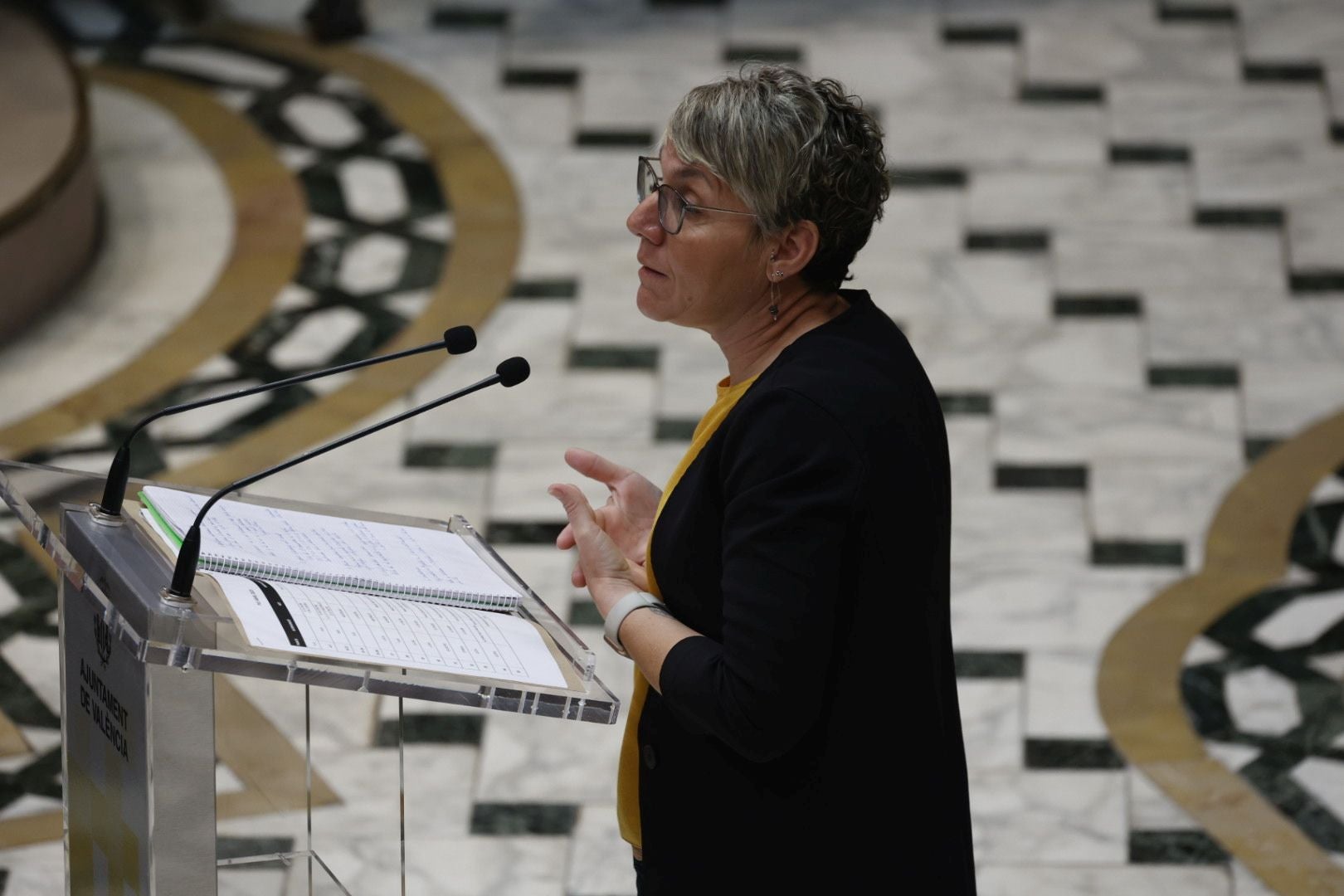 Fotos del Pleno del Ayuntamiento de Valencia del 30 de abril