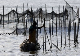 La Albufera empieza a recibir el aporte extra de agua prometido por el Consell