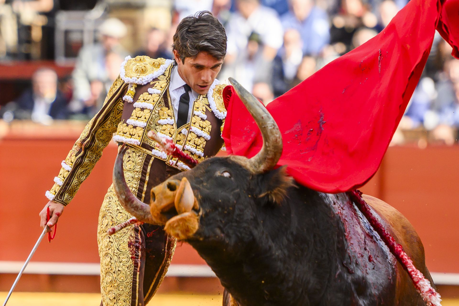 FOTOS | Así ha sido la corrida de toros de hoy en Sevilla (2 de mayo)