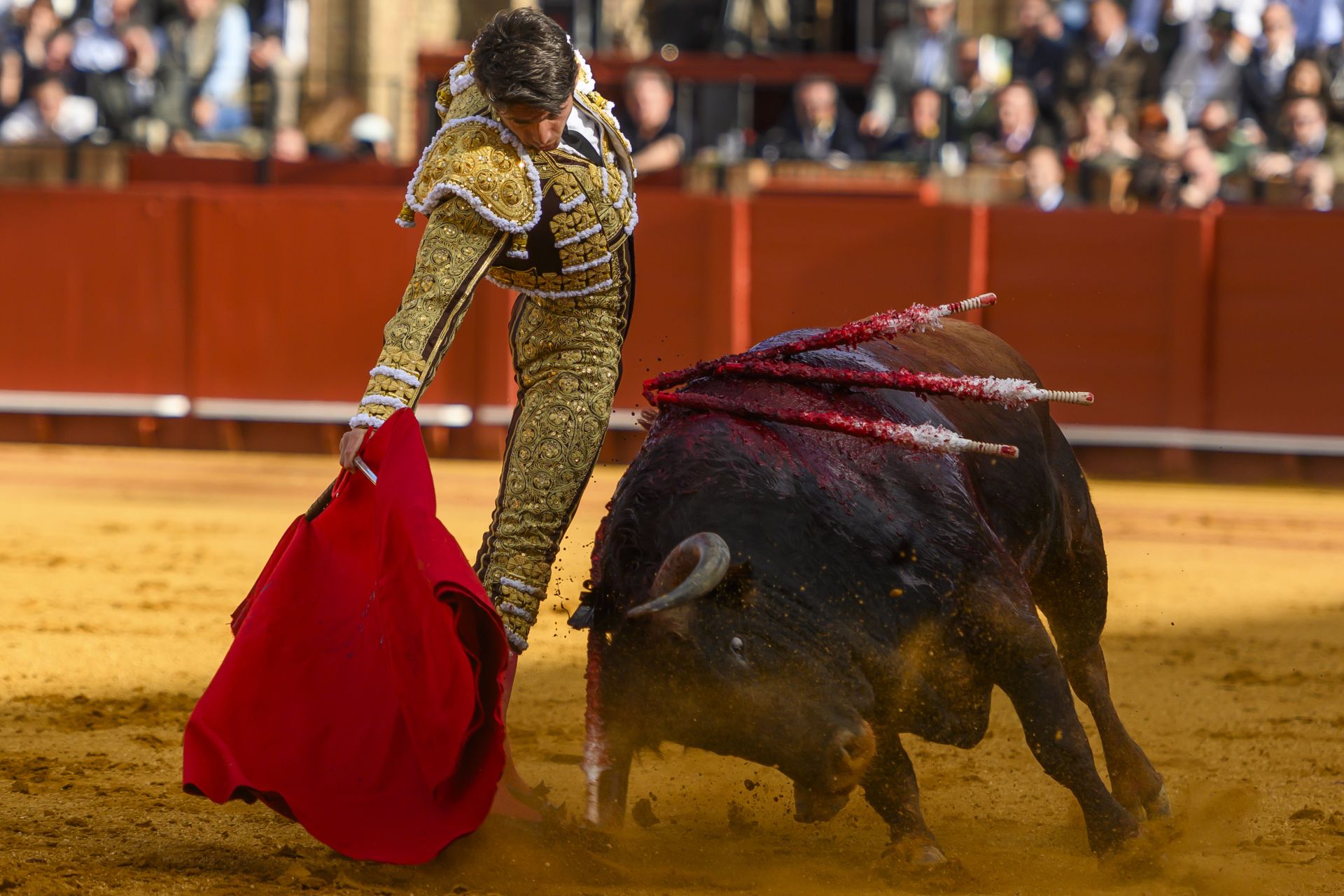 FOTOS | Así ha sido la corrida de toros de hoy en Sevilla (2 de mayo)
