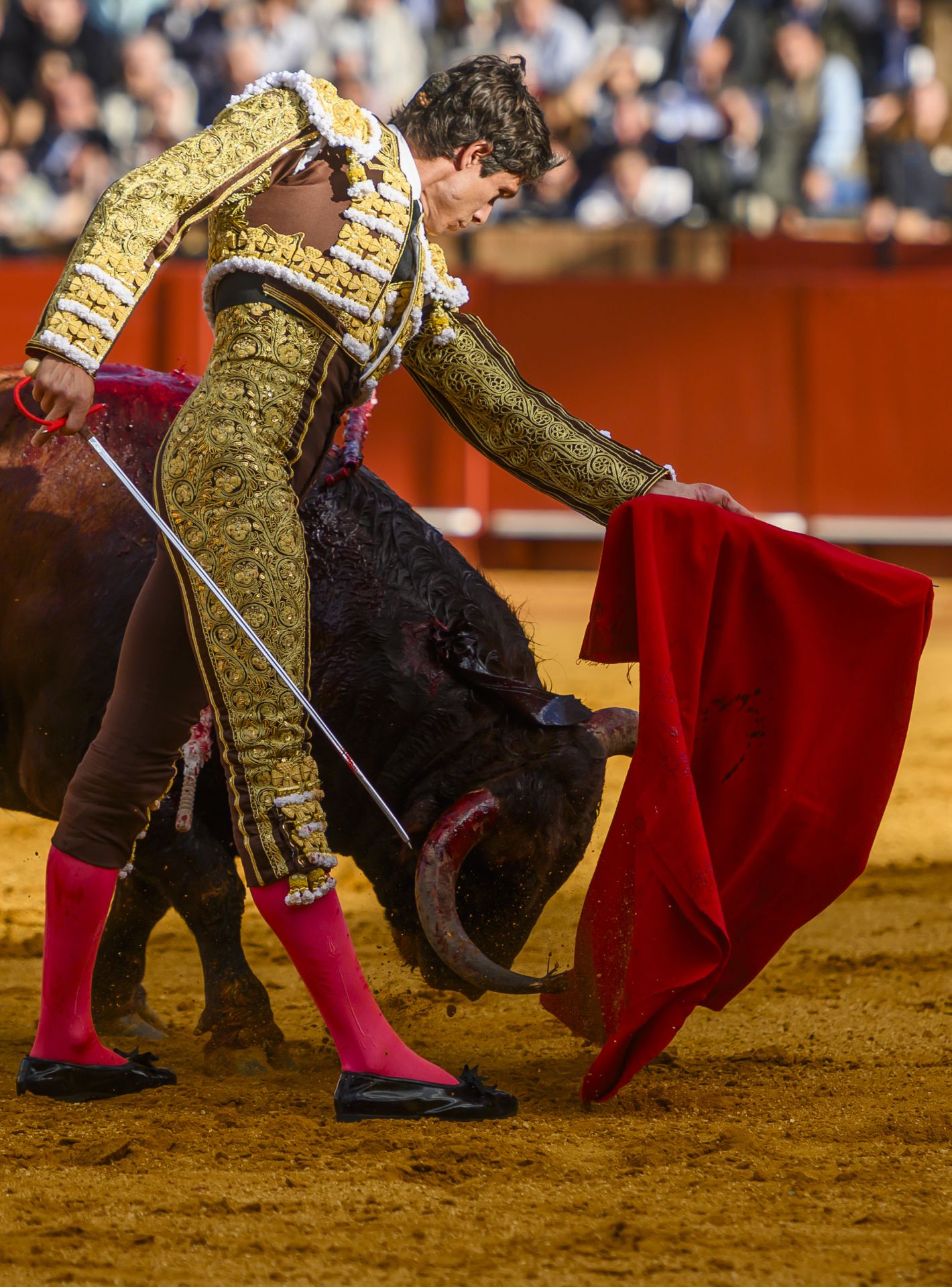 FOTOS | Así ha sido la corrida de toros de hoy en Sevilla (2 de mayo)