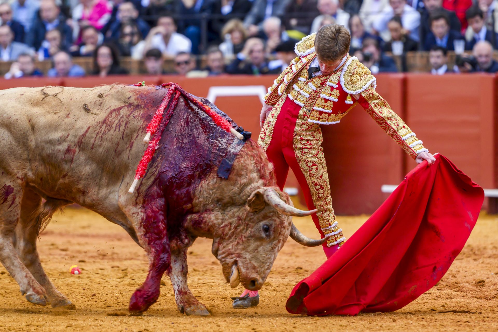 FOTOS | Así ha sido la corrida de toros de hoy en Sevilla (2 de mayo)