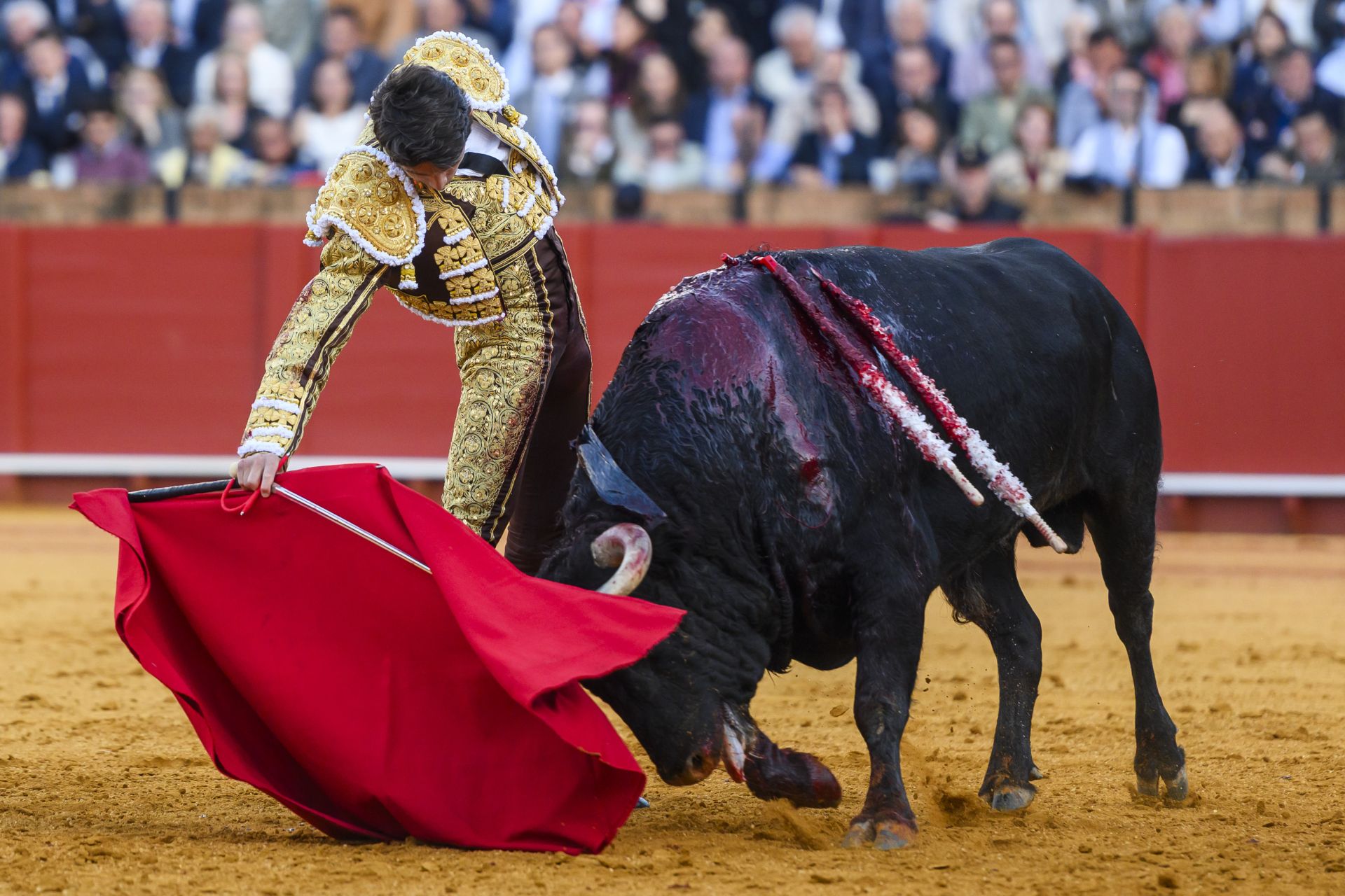FOTOS | Así ha sido la corrida de toros de hoy en Sevilla (2 de mayo)