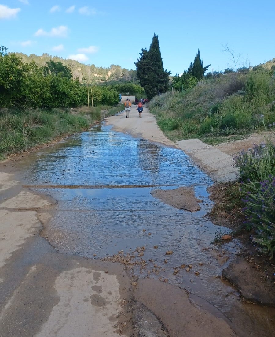 Agua que brota por el Barranc del Brull.