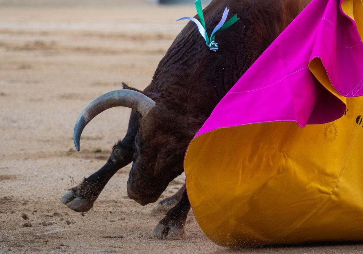¿Quién torea hoy en la Goyesca de Madrid y cómo verla gratis por televisión?